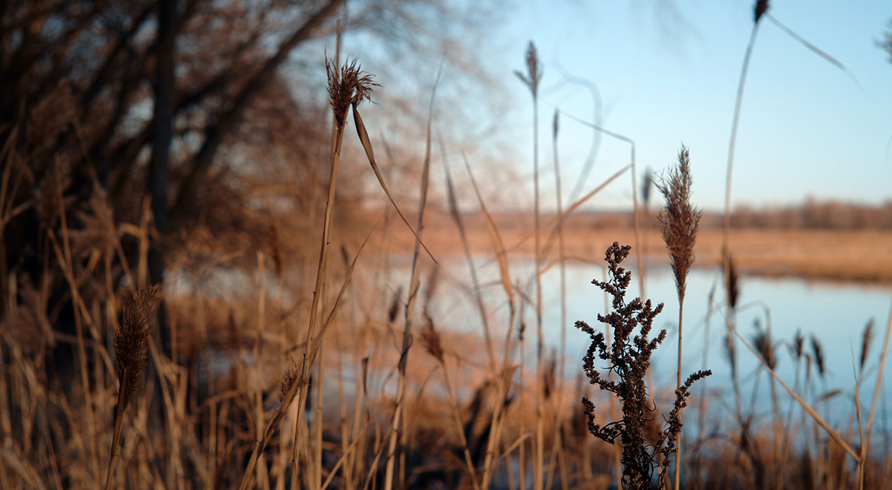Image of outdoors