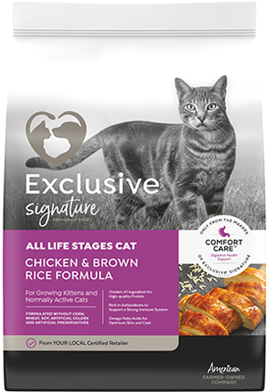 Image of Exclusive® Signature All Life Stages Formula Cat & Kitten Food bag