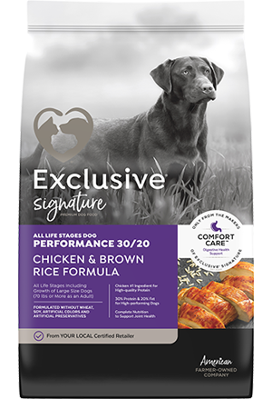 Purple dog food bag new arrivals