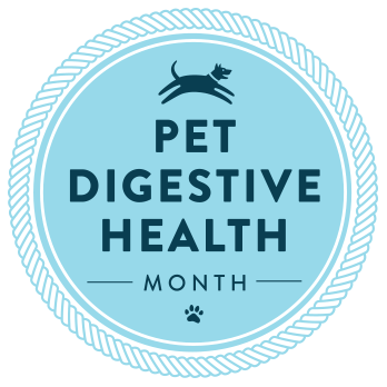 Pet Digestive Health Month – August