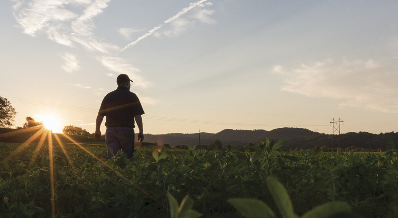 Image of a farmer in a field